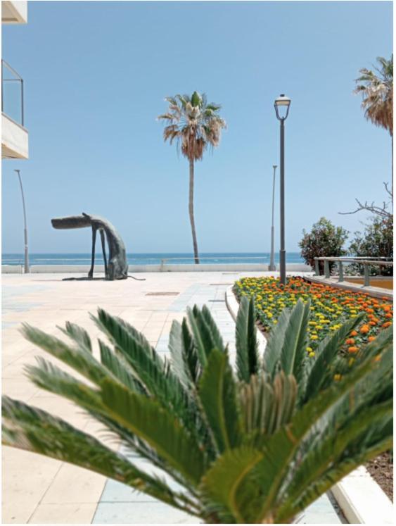 Beach Side Apartment -Εστεπόνα Εξωτερικό φωτογραφία